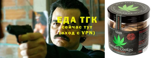 прущие грибы Вяземский