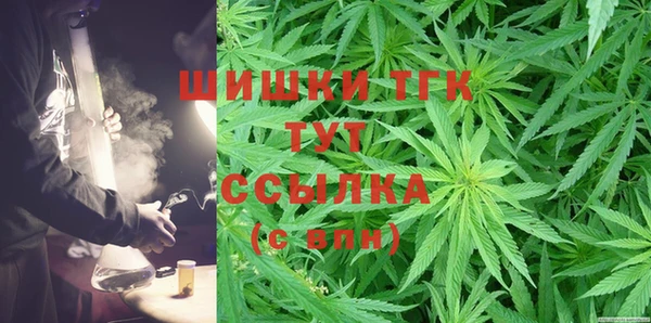 прущие грибы Вяземский