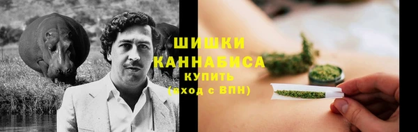 прущие грибы Вяземский
