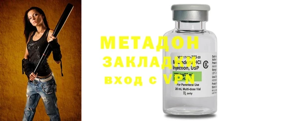 прущие грибы Вяземский
