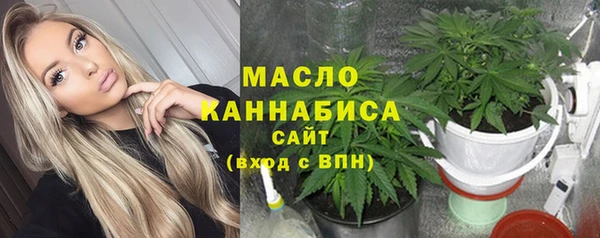 амф Снежногорск
