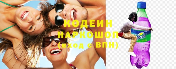 прущие грибы Вяземский