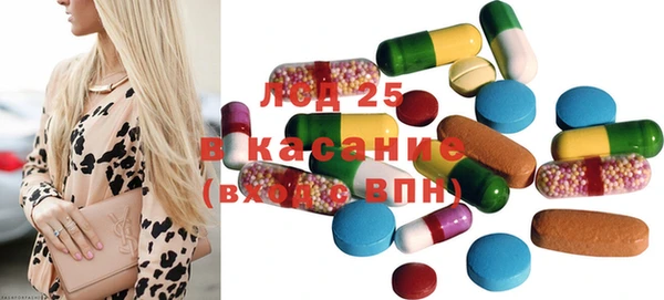 прущие грибы Вяземский