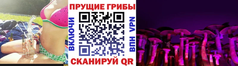 Галлюциногенные грибы ЛСД  Ахтырский 